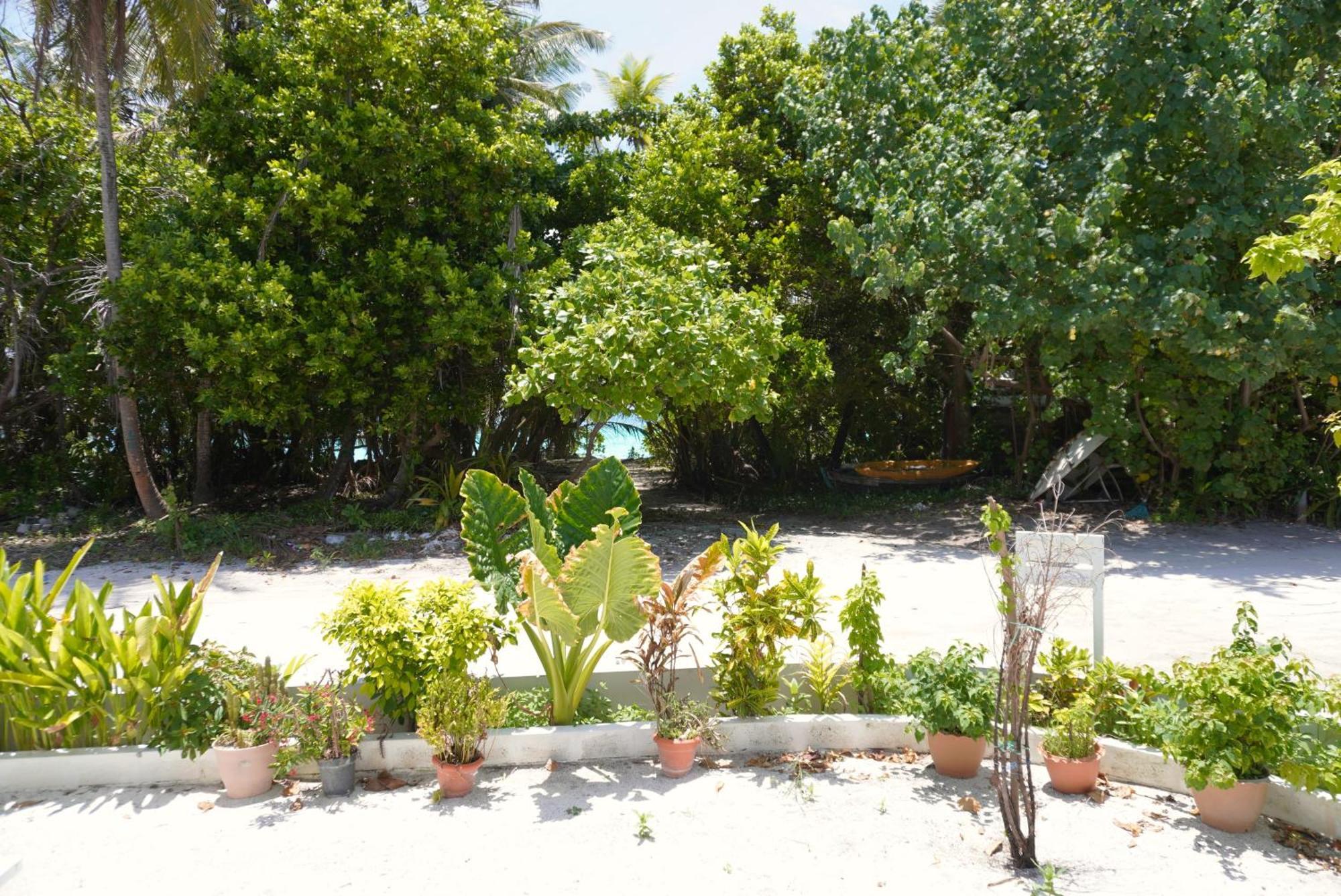 Tme Retreats Dhigurah Hotel Digura Kültér fotó