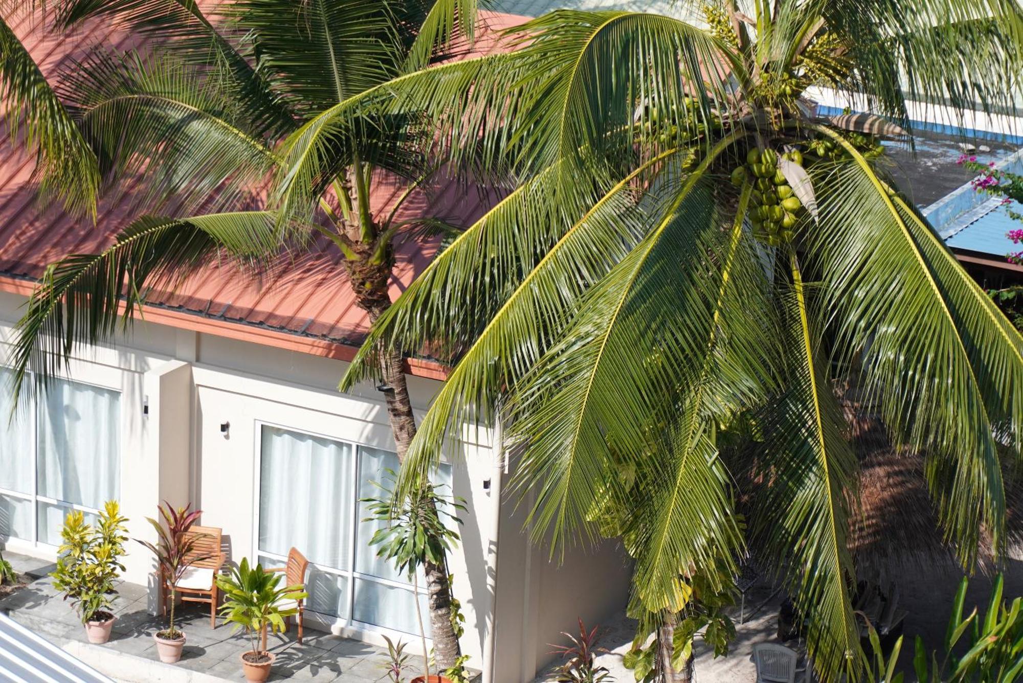 Tme Retreats Dhigurah Hotel Digura Kültér fotó